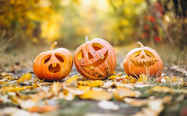Foto: Pixabay.de