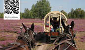 Foto: Naturwacht Brandenburg, Lizenz: Stiftung Naturschutzfonds