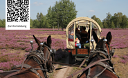 Foto: Naturwacht Brandenburg, Lizenz: Stiftung Naturschutzfonds