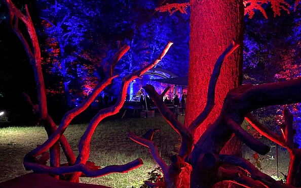 Purpur - Konzerte und Open-Air-Kino im beleuchteten Forstbotanischen Garten Eberswalde, Foto: Matthias Schäfer