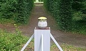 Foto: Hendrik Schink