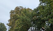 Kirche Linow, Foto: Maik Misch