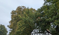 Großer Sommer Hof und Krempelmarkt im Offenen Garten