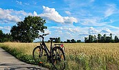 Foto: Pixabay Wellow Summer