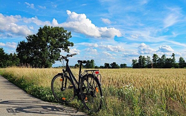 Foto: Pixabay Wellow Summer