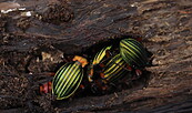 Foto: Cathrina Balthasar, Lizenz: Cathrina Balthasar