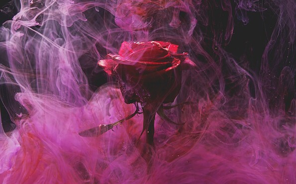 Foto: pixabay, Lizenz: pixabay