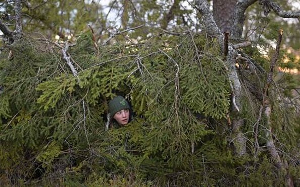 Person mit grüner Mütze versteckt sich zwischen dichtem Nadelbaumgeäst im Wald, nur das Gesicht ist sichtbar., Foto: Vincent Munier, Lizenz: Pandora Filmverleih