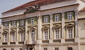 Foto: D. Knuth, Lizenz: Naturkundemuseum Potsdam