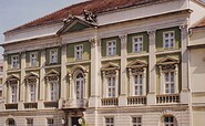 Foto: D. Knuth, Lizenz: Naturkundemuseum Potsdam