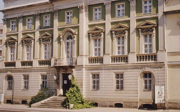 Foto: D. Knuth, Lizenz: Naturkundemuseum Potsdam