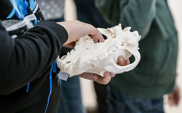 Kind mit Schädel eines Wolfes, Foto: David Marschalsky, Lizenz: NKMP