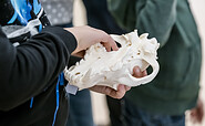Kind mit Schädel eines Wolfes, Foto: David Marschalsky, Lizenz: NKMP