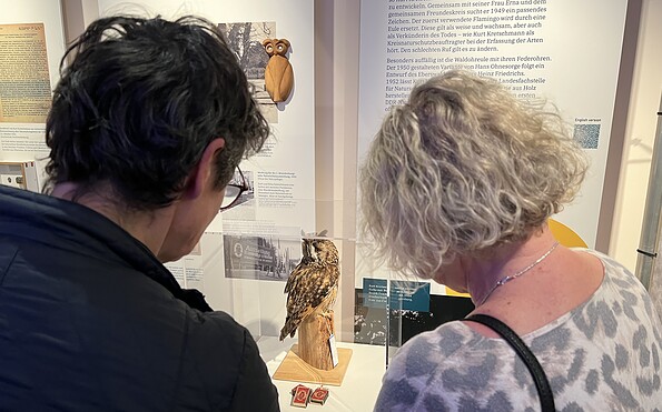Zwei Besuchende stehen vor einer Vitrine und schauen sich das Präparat einer Waldohreule an., Foto: A. Vierling-La Ruffa, Lizenz: Naturkundemuseum Potsdam