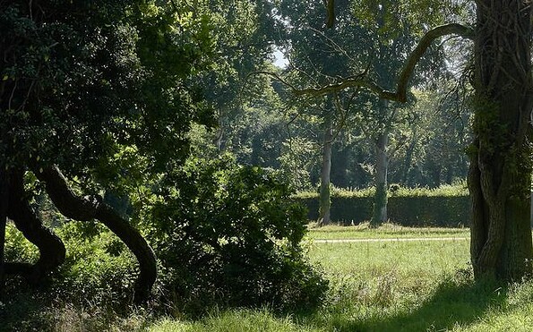 Klimawandel im Park Sanssouci, Foto: Daniel Lindner, Lizenz: SPSG