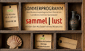 Ein hölzerner Setzkasten mit verschiedenen Museumsobjekten wie einer Vase und einer Muschel sowie ein Schild „Somerprogarmm, des Museumspädagogischen Dienst im LK Dahme-Spreewald“, Foto: MuPäD Lübben, Lizenz: MuPäD Lübben