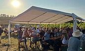 Foto: Weingut Swillus, Lizenz: Weingut Swillus