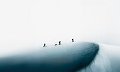 Foto: EOFT 2026