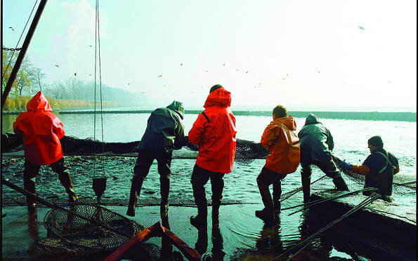 Foto: Amt Peitz/Picnjo, Lizenz: M. Huhle