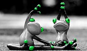 Foto: Bild von Alexa auf Pixabay, Lizenz: Bild von Alexa auf Pixabay