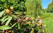 Gutspark Protzen , Foto: A. Loewe, Lizenz: Gemeinde Fehrbellin