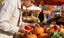 Markttag ist Karpfentag