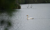 Foto: Amt Peitz/Picnjo, Lizenz: Amt Peitz/Picnjo