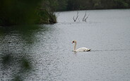 Foto: Amt Peitz/Picnjo, Lizenz: Amt Peitz/Picnjo