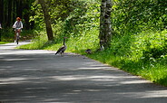 Foto: Amt Peitz/Picnjo, Lizenz: Amt Peitz/Picnjo