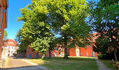 Kloster Zehdenick Innenhof, Foto: Elisabeth Kluge, Lizenz: Tourist-Information Zehdenick