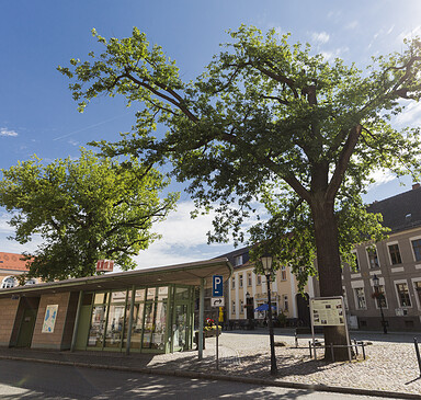 Foto: Steffen Lehmann, Lizenz: TMB Tourismus-Marketing Brandenburg GmbH