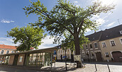 Foto: Steffen Lehmann, Lizenz: TMB Tourismus-Marketing Brandenburg GmbH