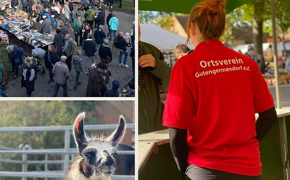 Foto: Ortsverein Gutengernendorf 2024, Lizenz: Ortsverein Gutengermendorf e.V., Gutengermendorf 104, 16775 Löwenberger Land