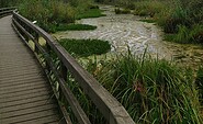 Foto: Joanna Laß, Lizenz: Stiftung Naturschutz Berlin