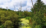 Foto: Joanna Laß, Lizenz: Stiftung Naturschutz Berlin