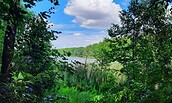 DBäume und Sträucher in sattem grün im Vordergrund und in der Mitte des Bildes im Hintergrund die blaue Seefläche, Foto: Maren Brodersen, Lizenz: Maren Brodersen