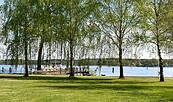 Foto: Tourismusverein Scharmützelsee e. V., Lizenz: Tourismusverein Scharmützelsee e. V.