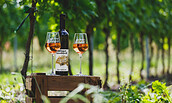 Foto: Zwei Gläser Rosé Wein und die Flasche von Weingut Leonhardt dazu im Grünen, Foto: A. Franke , Lizenz: Stadt Bad Liebenwerda