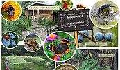 Moodboard Naturgarten, Foto: Andrea Hanschke, Lizenz: Andrea Hanschke