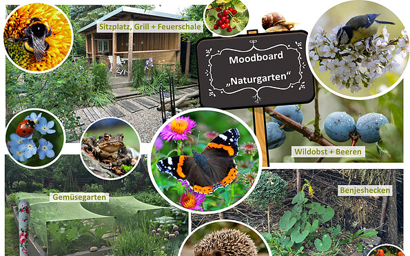 Moodboard Naturgarten, Foto: Andrea Hanschke, Lizenz: Andrea Hanschke