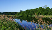 Foto: Naturwacht BRSC, Lizenz: Stiftung NaturSchutzFonds Brandenburg