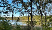 Foto: Anke Bielig, Lizenz: Gemeinde Schorfheide