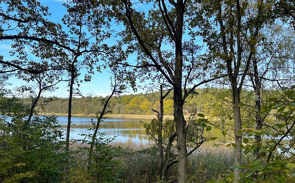 Foto: Anke Bielig, Lizenz: Gemeinde Schorfheide
