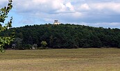 Der Kolberg, Foto: Petra Förster, Lizenz: Tourismusverband Dahme-Seenland e.V.