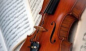 Foto: pixabay, Lizenz: pixabay