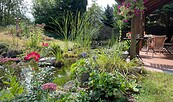 Neben einer einladenden Terrasse befindet sich ein von vielen Blumen umrahmter Naturteich., Foto: Sarah Mamerow, Lizenz: Naturpark Dahme-Heideseen