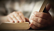 Foto: congerdesign, Lizenz: pixabay.com