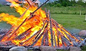 Foto: Lausitzer Bildungsträger gemeinnützige GmbH