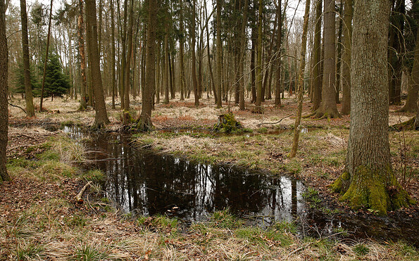 Foto: Steffen Bohl, Lizenz: Landesamt für Umwelt Brandenburg
