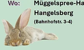 12. Müggelspreeschau mit Familienfest